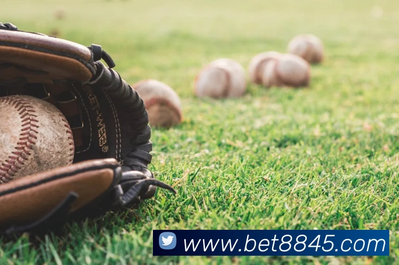 bet365comAPP 封面图